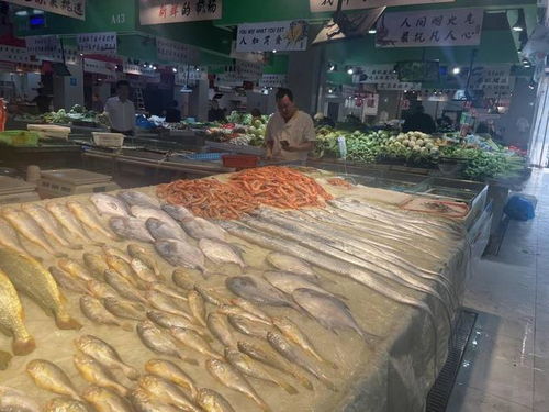 台州休渔期启幕 挥别八大类鲜捕海鲜，冻品养殖水产品撑起市场供应
